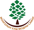 Mongolian Premium Pine Nuts
